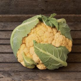 Flame Star, (F1) Cauliflower Seeds